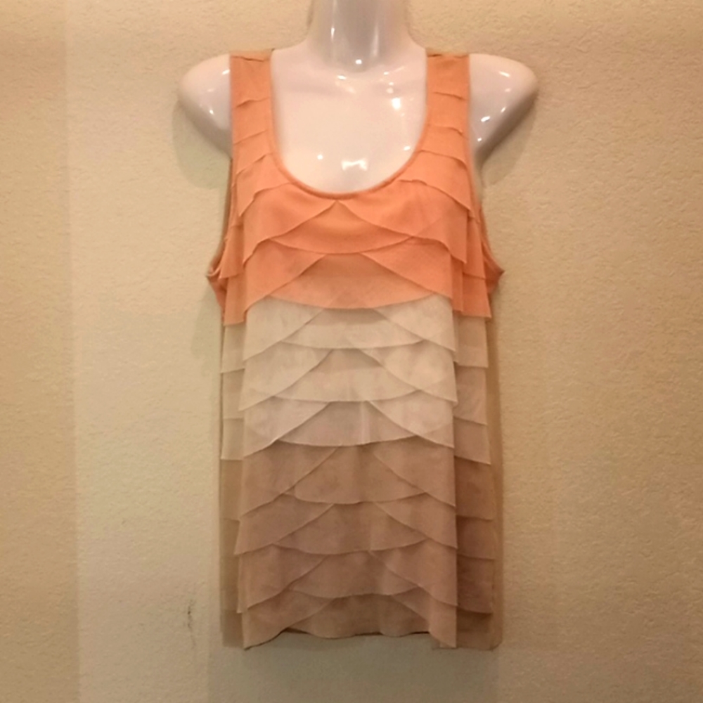 Ruby Rd Mesh& Knit Ombre Layered Tank Top - Picture 4 of 10